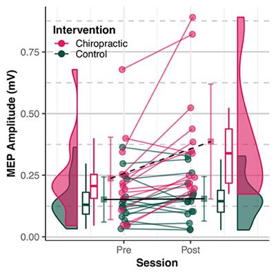 Chiropractic Spinal Adjustment Increases the Cortical Drive to the Lower Limb Muscle in Chronic Stroke Patients